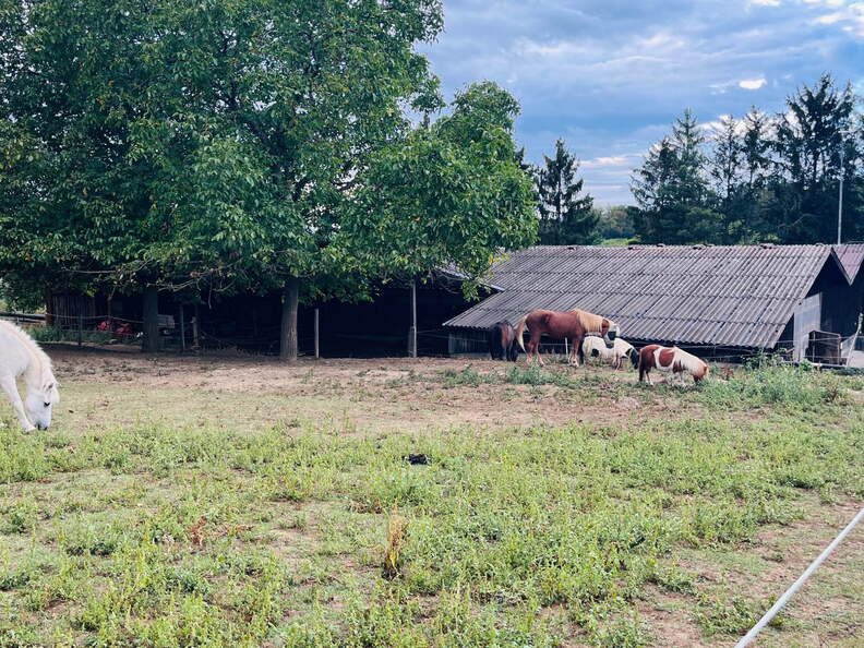 22-09-10 17-55-45 1970